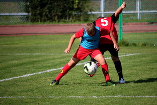 9游电竞资讯-体育赛事志愿者管理及培训体系建设，体育赛事志愿者的工作要求