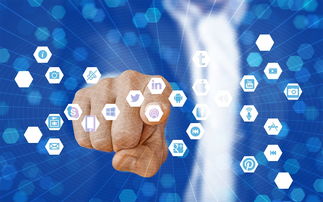 九游游戏在线玩-数字体育课程资源开发与应用效果分析，数字化体育课