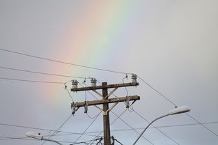 9游app-篮球专项训练中的体能负荷监控技术，篮球训练负荷特征有哪些